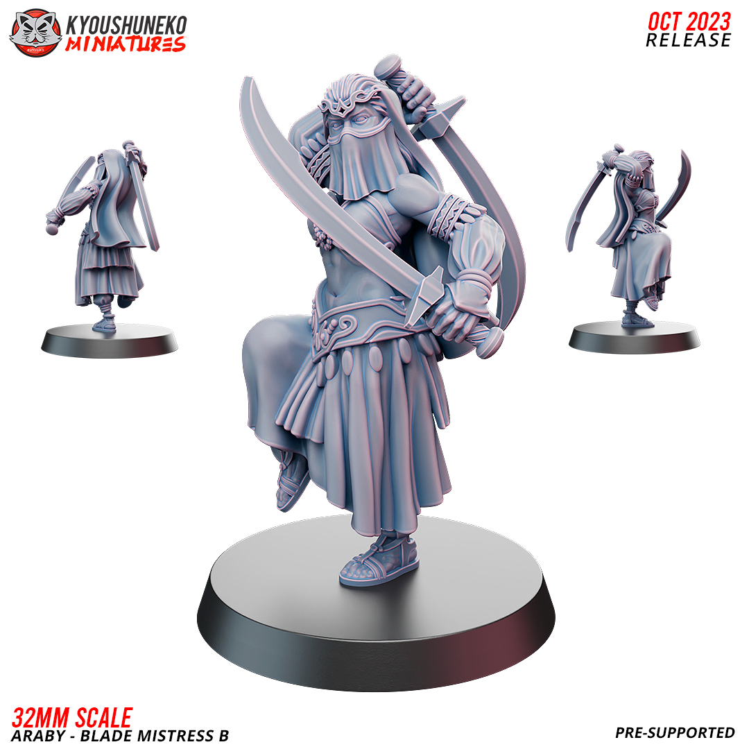 Araby Blade Mistress B by Kyoushuneko Miniatures, is a proxy for Assassin Acolyte, Master Assasin, Sultanate Assasin, in Iron Sultanate.