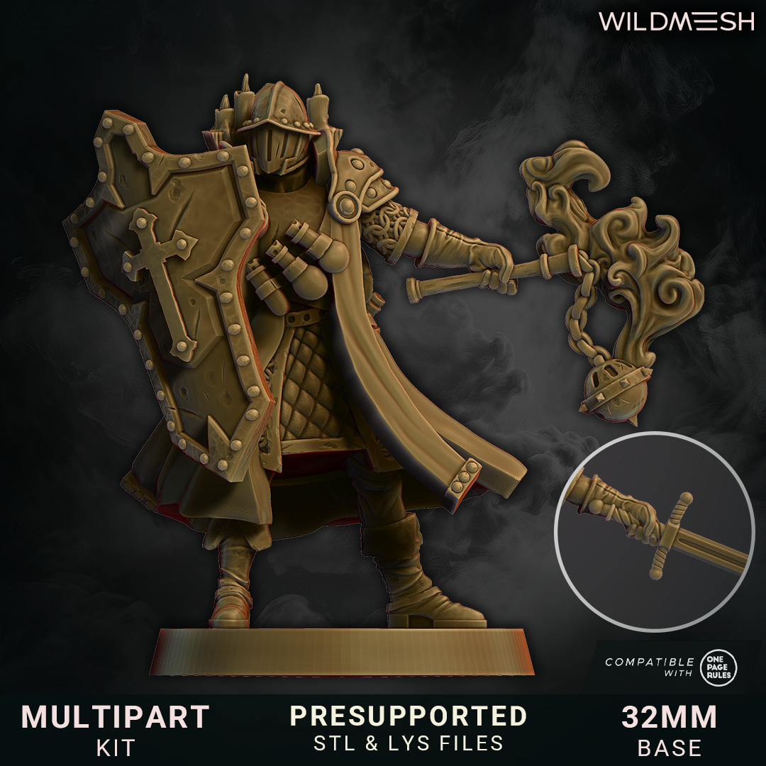 Crusade - Knight of Crusade by WildMesh - Image 2