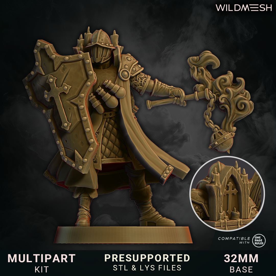 Crusade - Knight of Crusade by WildMesh, is a proxy for Lieutenant, Shocktrooper, in The Principality of New Antioch.