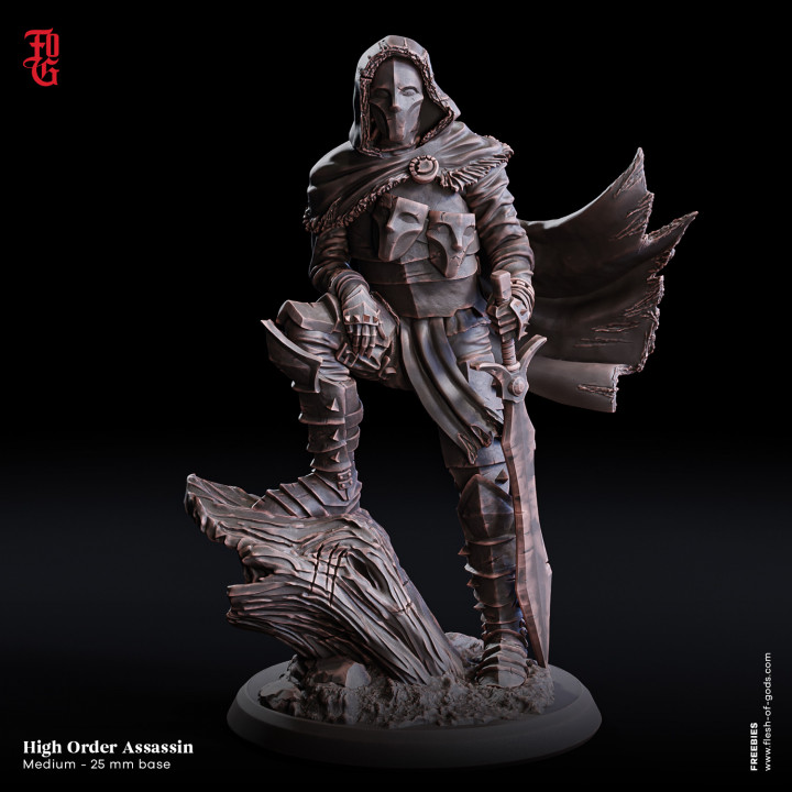 High Order Assassin by Flesh of Gods, is a proxy for Sultanate Assassin, in Iron Sultanate.