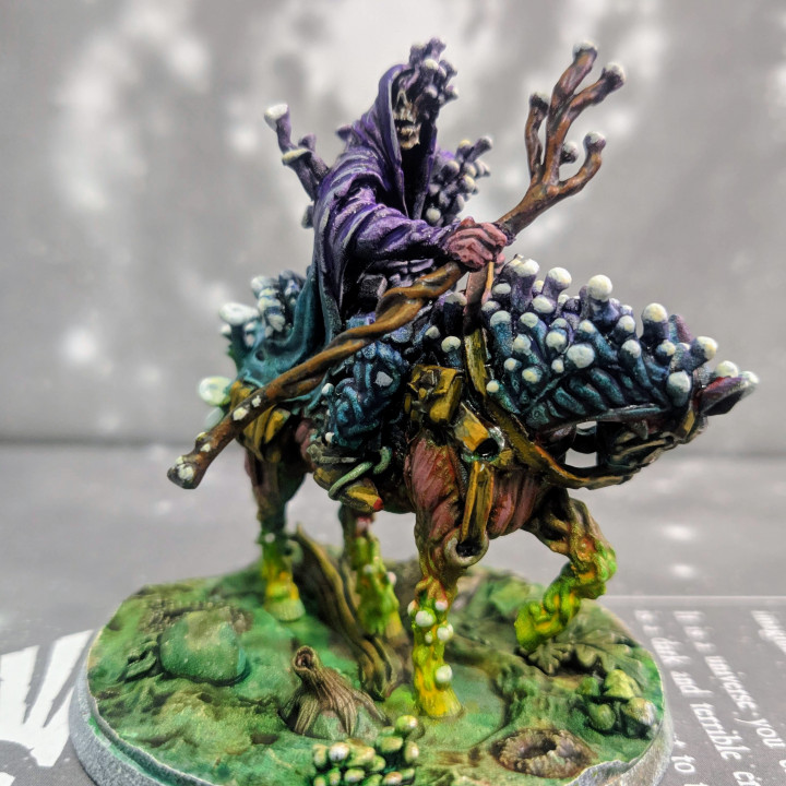 Darr Mushroomancer - Swamps - Titan Forge Miniatures January 2021 by Titan Forge Miniatures - Image 2