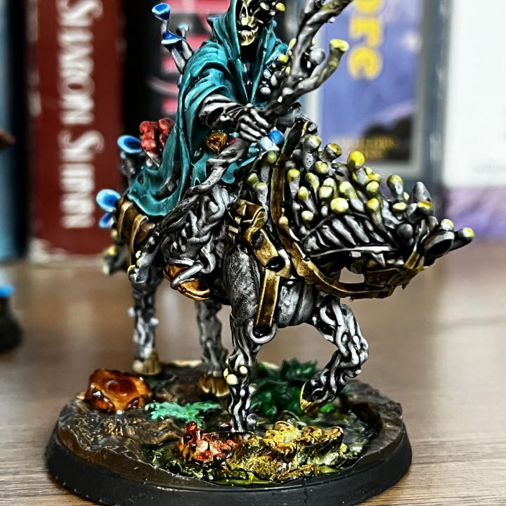 Darr Mushroomancer - Swamps - Titan Forge Miniatures January 2021 by Titan Forge Miniatures - Image 3