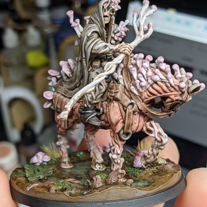 Darr Mushroomancer - Swamps - Titan Forge Miniatures January 2021 by Titan Forge Miniatures - Image 4