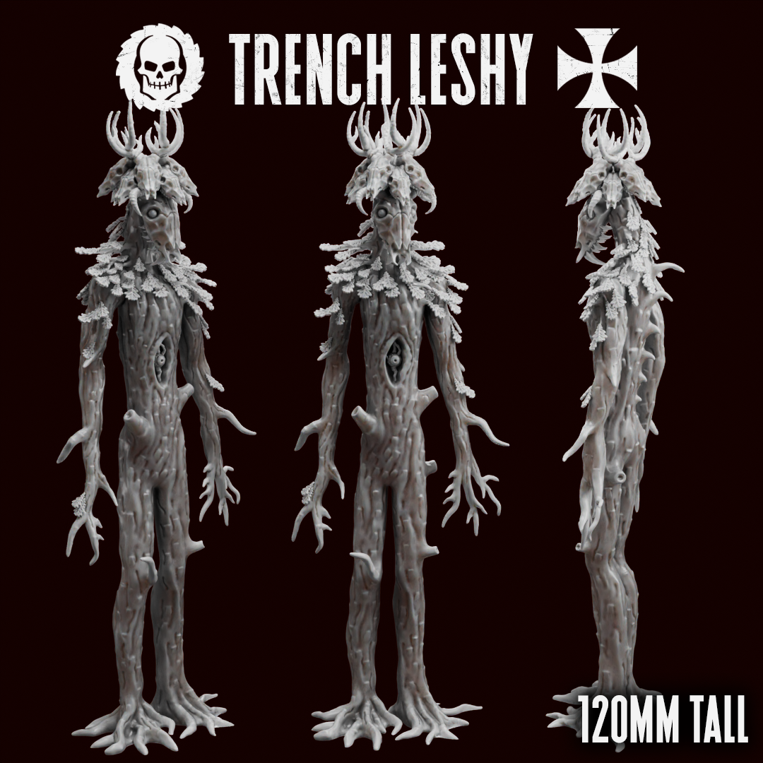 Trench Leshy by Traktor Miniatures, is a proxy for Praetor, in Court of the Seven Headed Serpent.